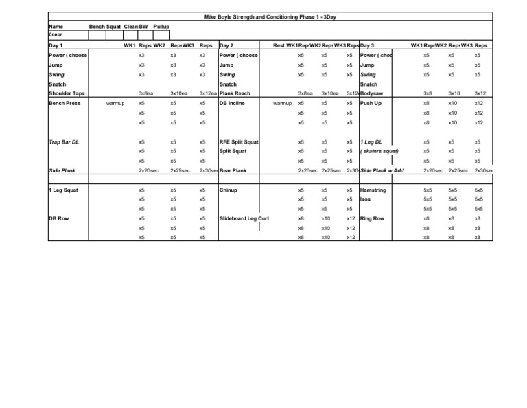 Mike Boyle Strength Training Plan | PDF | Sports Science | Management ...