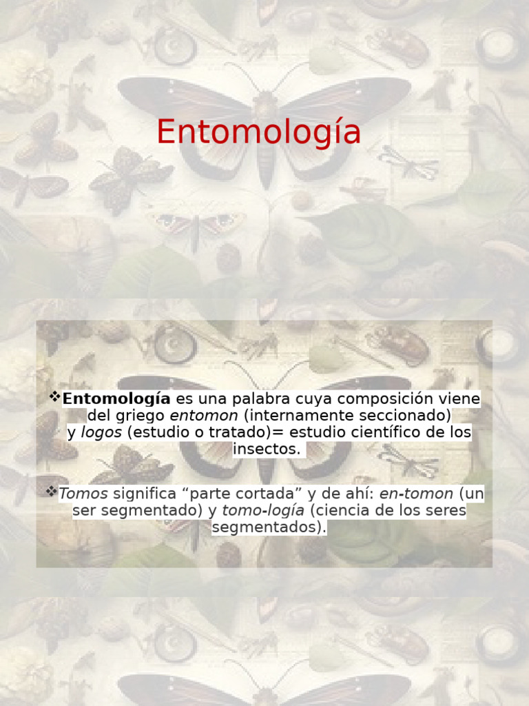 Entomología Forense: Estudio de Insectos en Muertos | PDF | Cadáver ...