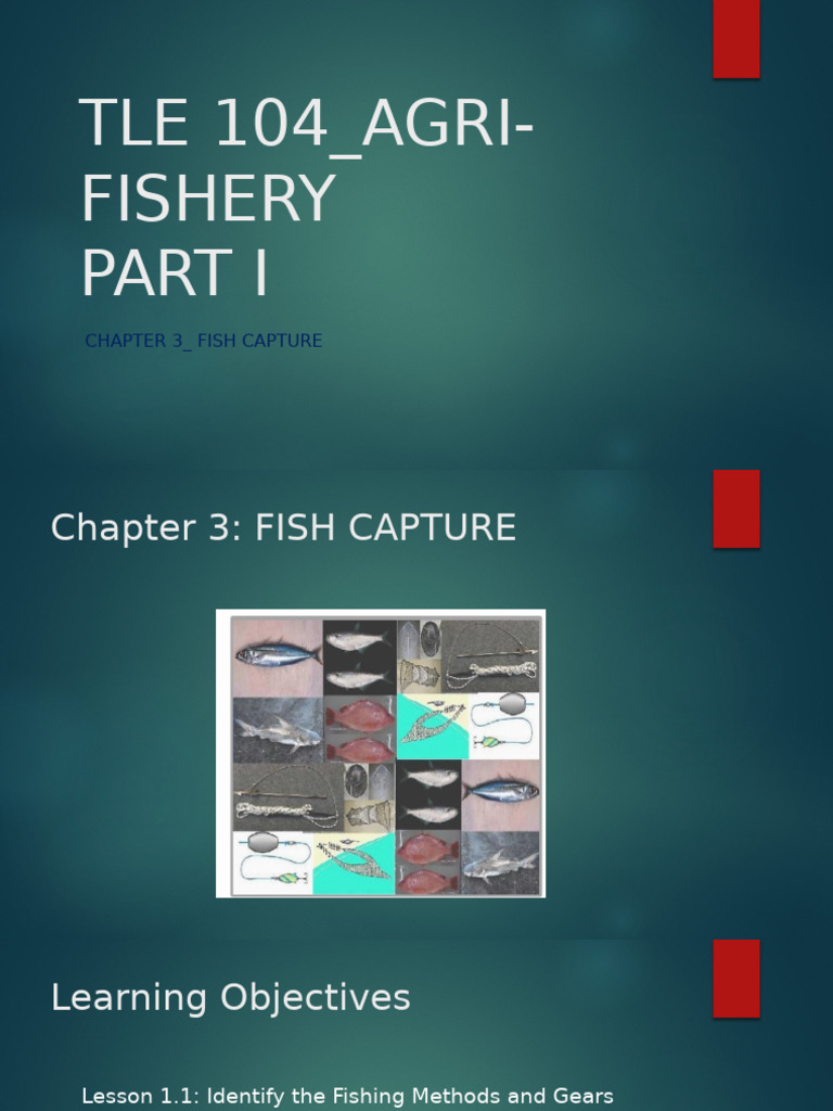 Fishing Methods and Gear in the Philippines | PDF | Trawling | Fishing ...
