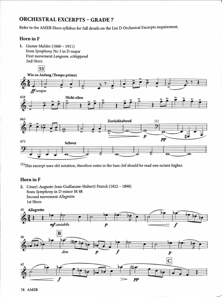 Grade 7 Orchestral Excerpts | PDF