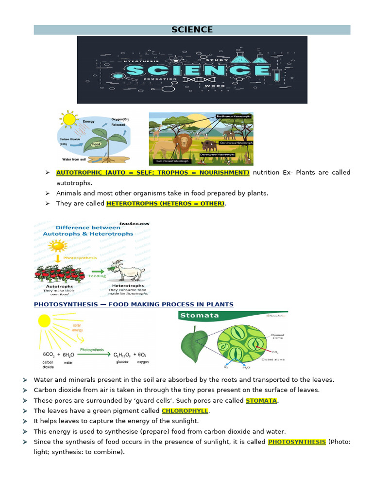 SCIENCE NCERT | PDF | Fertilisation | Friction