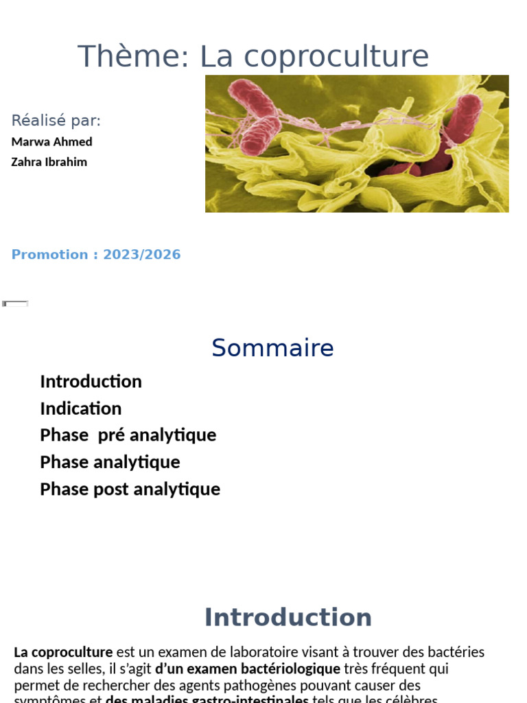 Indications et phases de la coproculture | PDF | Salmonelle | Bactérie