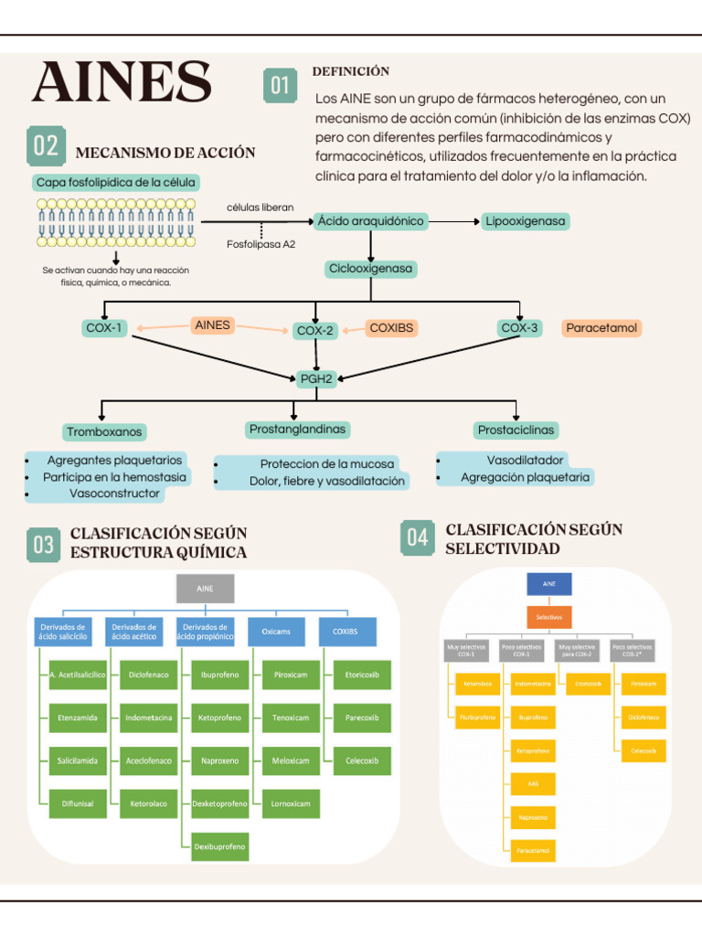 AINEs: Mecanismos y Clasificación | PDF | Droga anti-inflamatoria libre ...