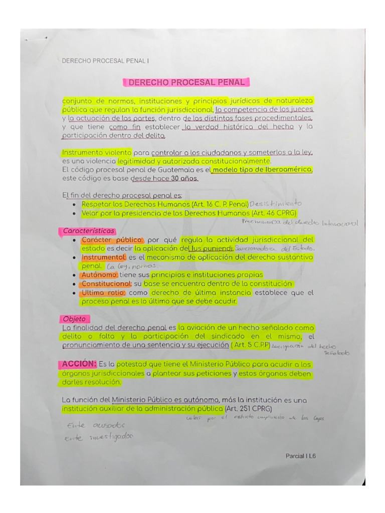 Derecho Procesal Penal I | PDF