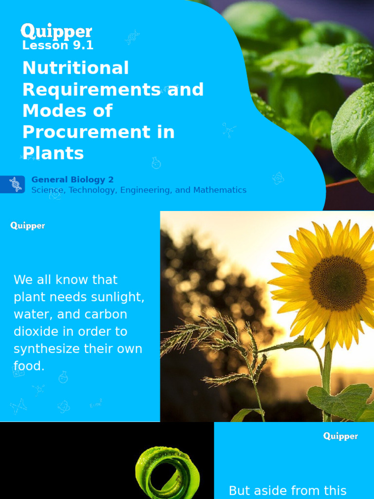 Bio2 11 - 12 Q4 0901 PF FD | PDF | Nutrients | Plant Nutrition