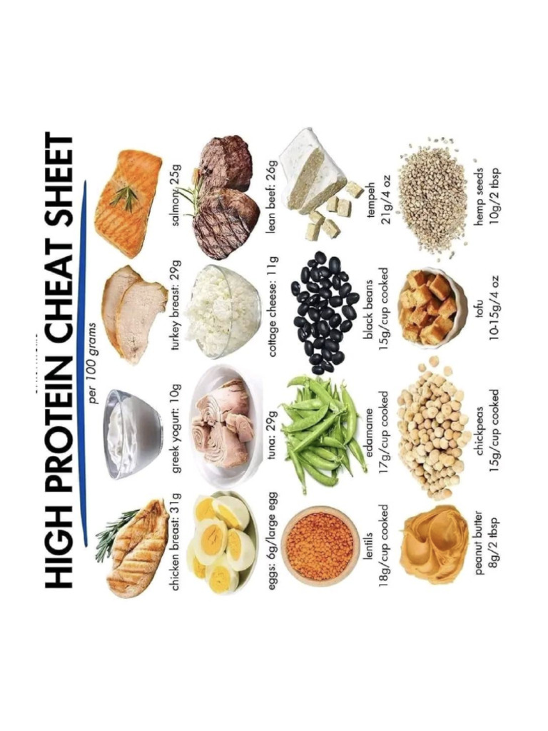 High Proteins | PDF