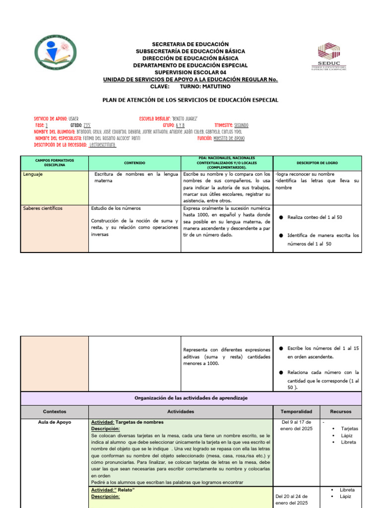 Plan de Atención Educación Especial | PDF | Escritura | Cognición