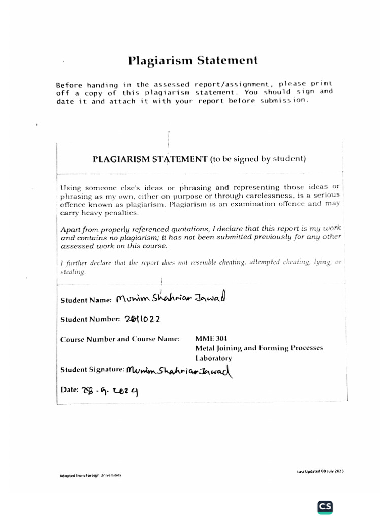 Plagiarism Statement | PDF