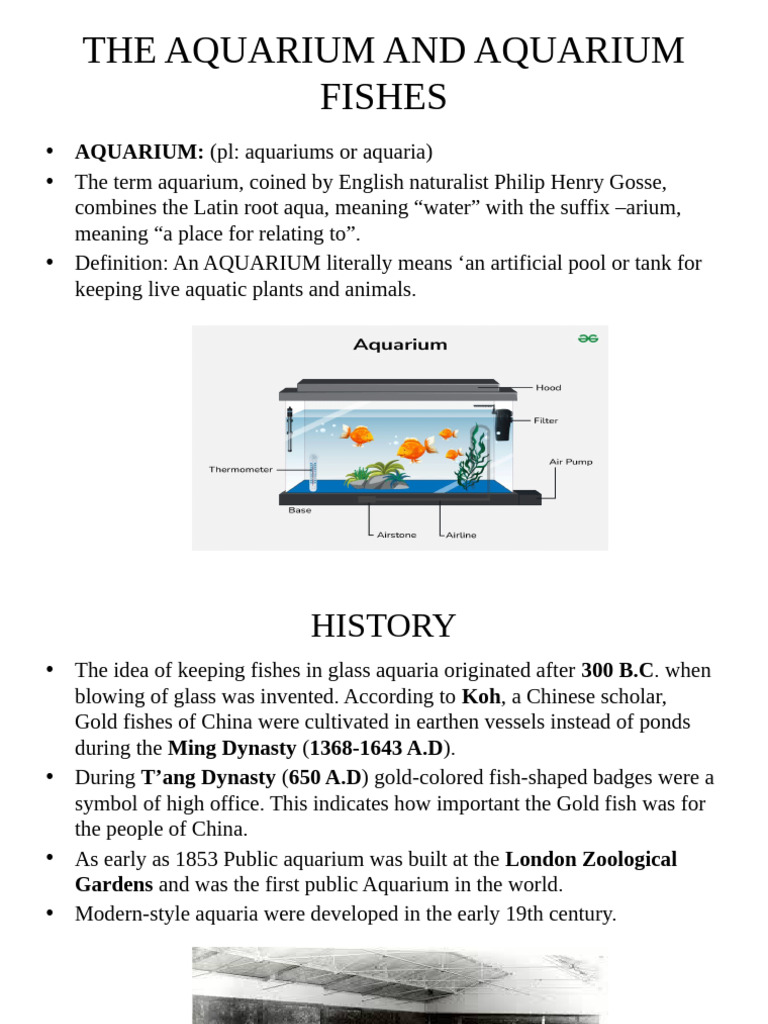 Guide to Aquariums and Fish Care | PDF | Aquarium | Animals Kept As Pets