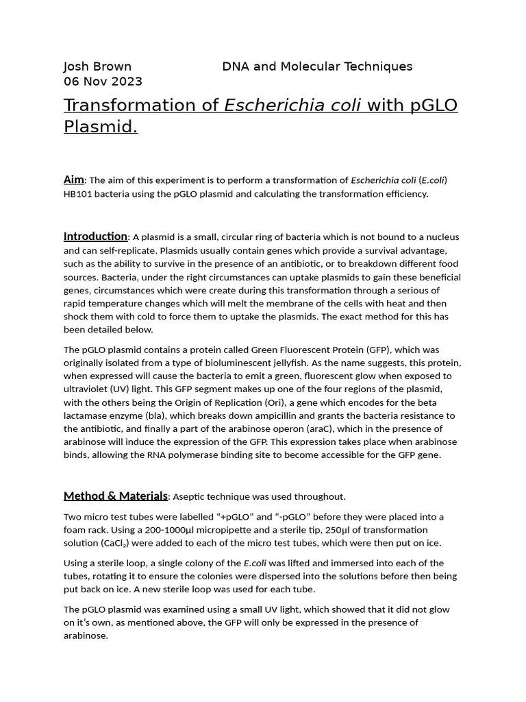 pGLO Transformation of E. coli Report | PDF | Plasmid | Gene