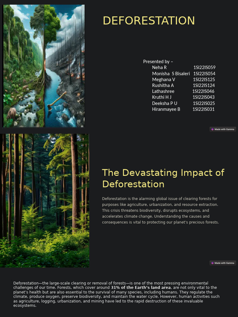 Deforestation. 1 | PDF | Deforestation | Forest Management