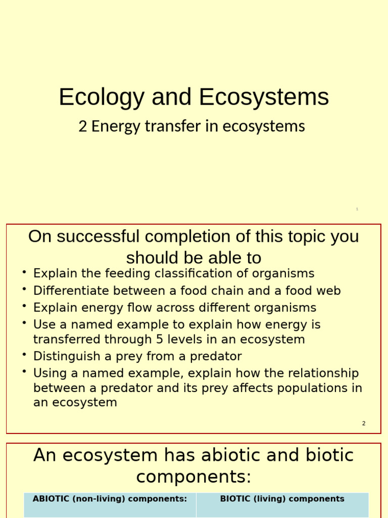 Energy Flow in Ecosystems Explained | PDF | Food Web | Ecosystem