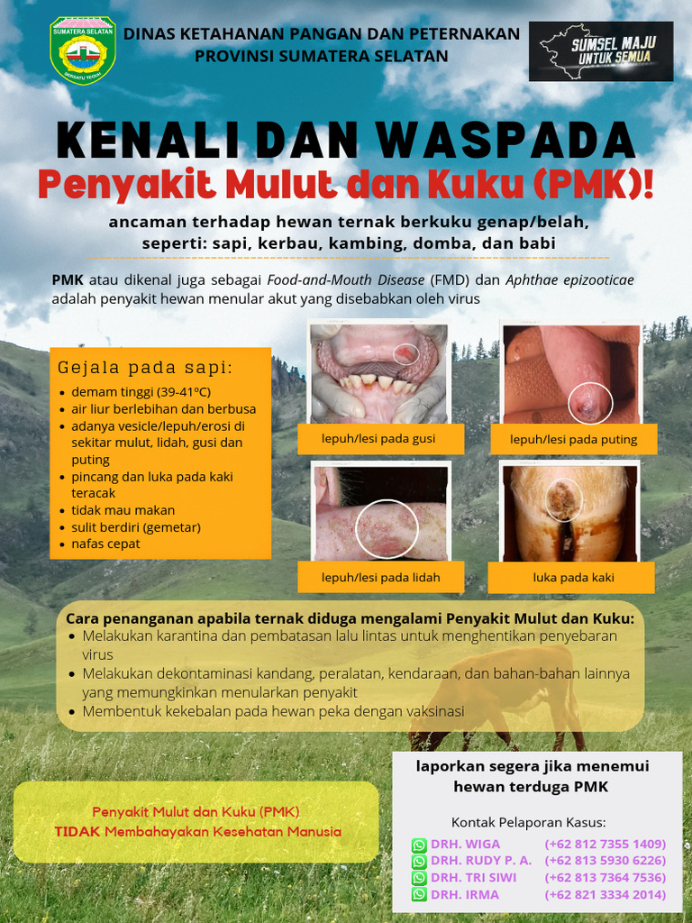 Waspada Penyakit Mulut dan Kuku pada Ternak | PDF