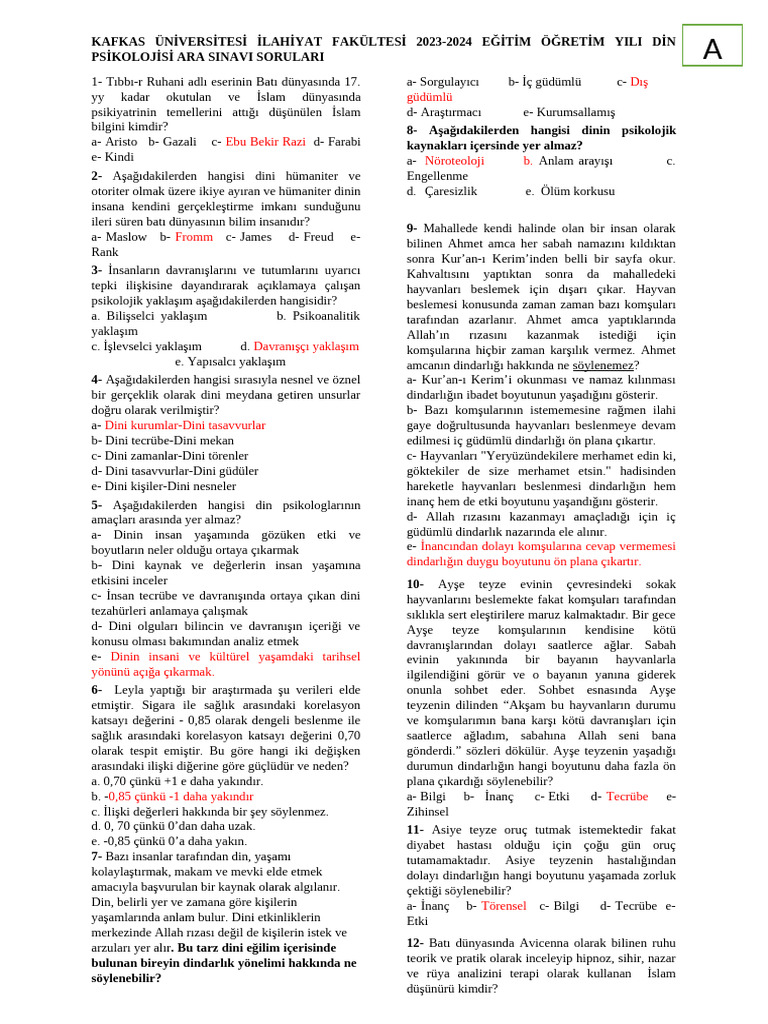 2024 DP Vize A | PDF