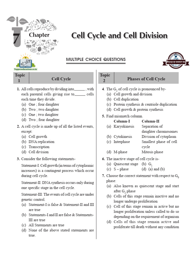 Understanding Cell Cycle Phases and Division | PDF | Meiosis | Mitosis