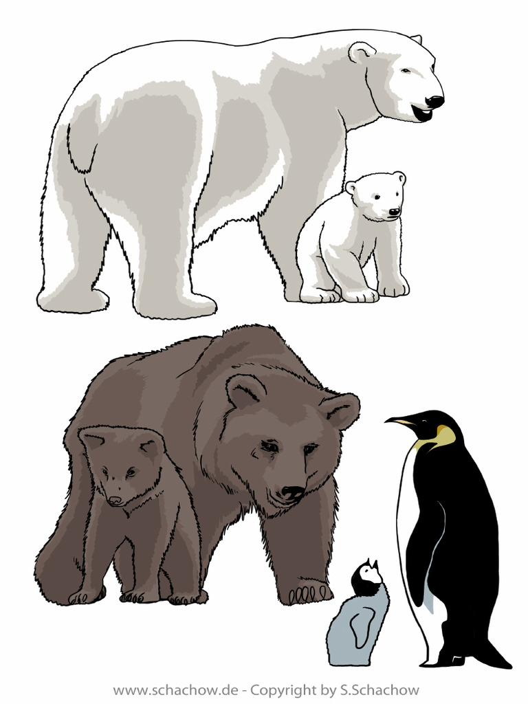 Tierbilder Zum Ausdrucken | PDF