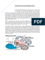 ANSWER (1)Vestibular