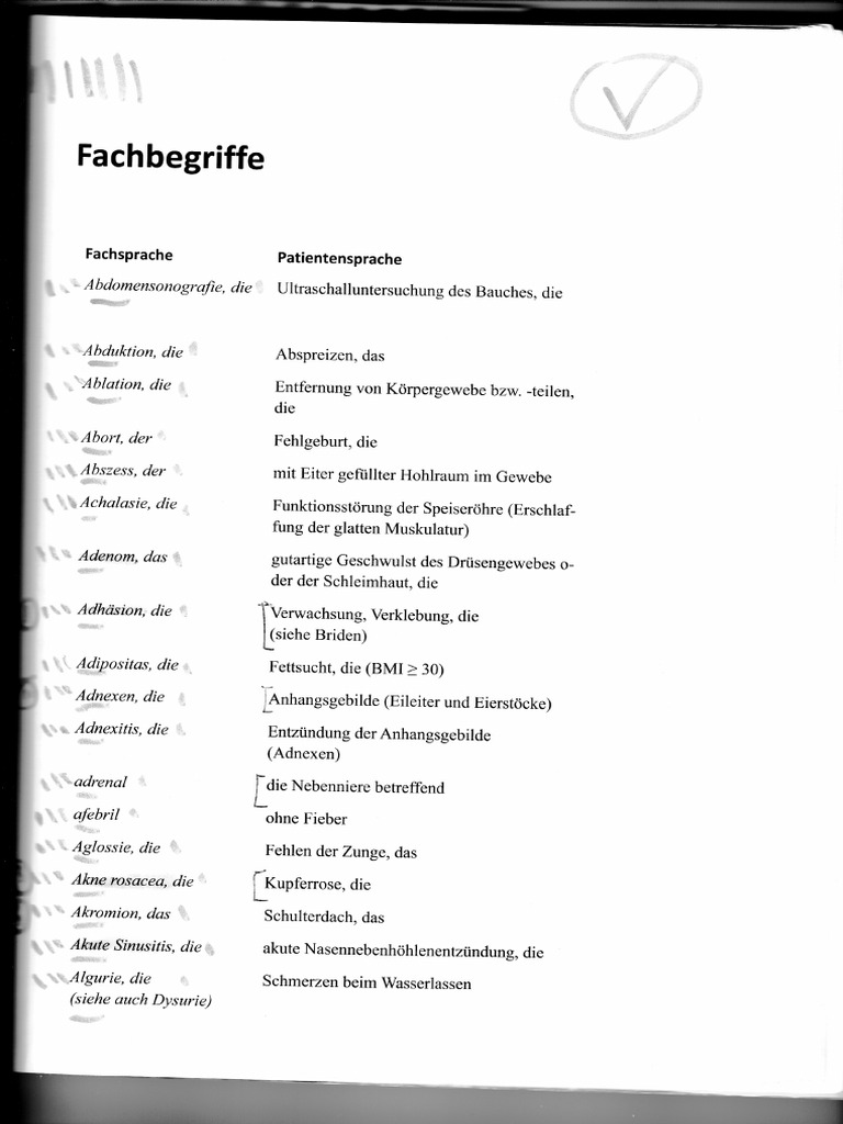 Fachbegriffe | PDF