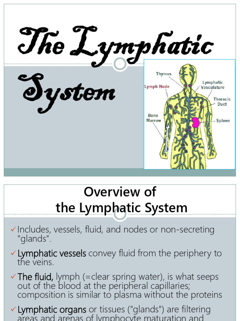 The LYMPHATIC SYSTEM With SLA | PDF | Lymphatic System | Immune System