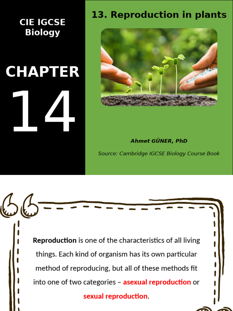 Plant Reproduction: Asexual vs Sexual Methods | PDF | Flowers | Pollination