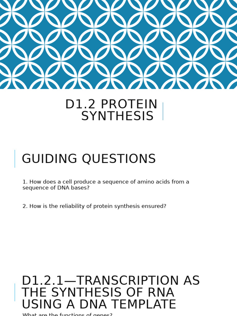 Curated visual reference: Gallery Detail: Understanding Protein Synthesis Process Pdf Sense Molecular Biology