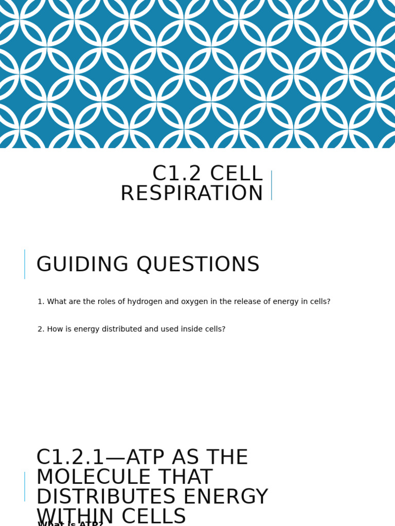 C1.2 Respiration | PDF | Cellular Respiration | Adenosine Triphosphate