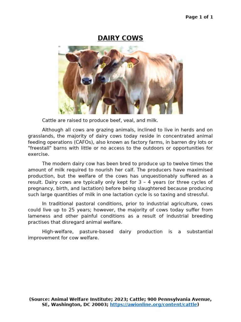 Short Article On Dairy Cows | PDF