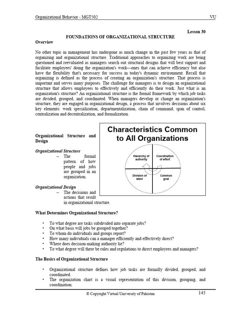 Lesson 30ob | PDF | Organizational Structure | Business Economics