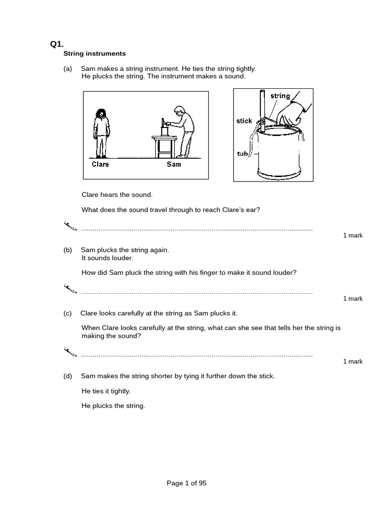 Primary Science Quiz | PDF | Flowers | Earth