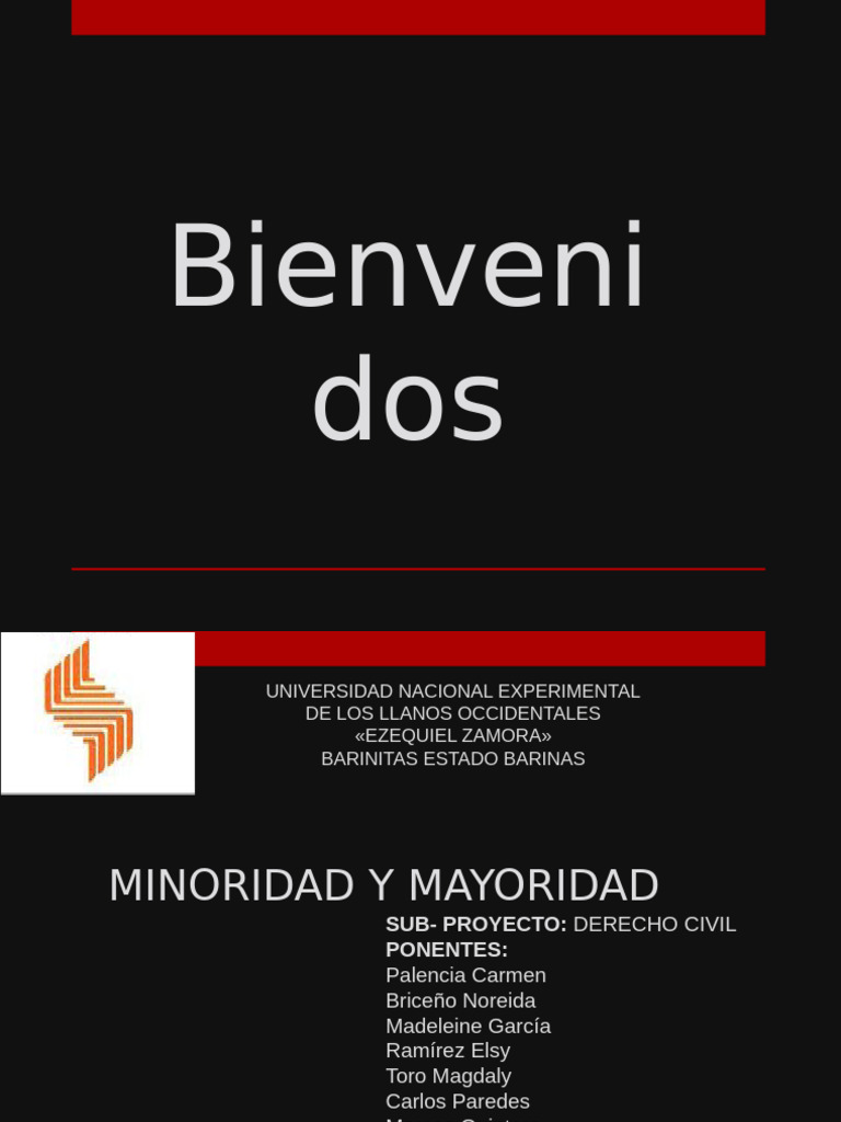 Capacidades Jurídicas: Minoridad y Mayoridad | PDF | Derechos humanos ...