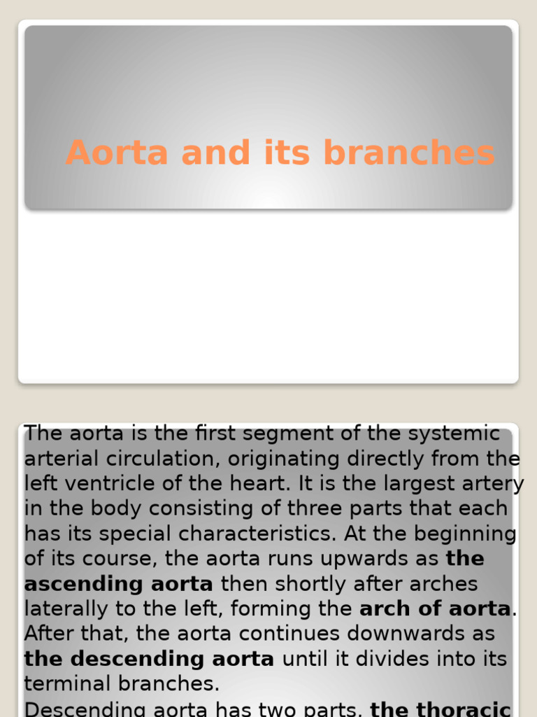 Aorta | PDF | Aorta | Common Carotid Artery