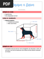 Metameria: Segmentação em Animais | PDF