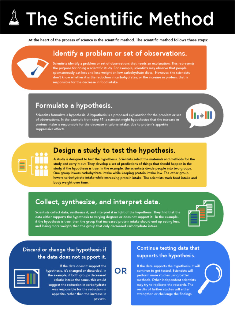 Understanding the Scientific Method | PDF | Hypothesis | Scientific Method
