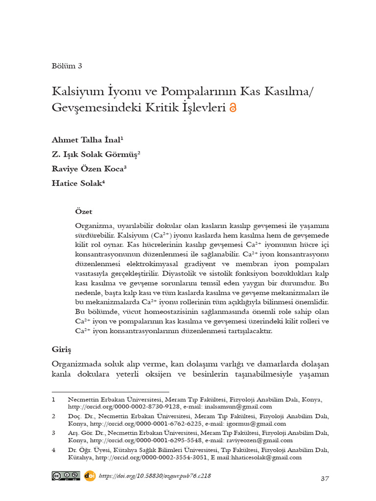chapter+3 | PDF
