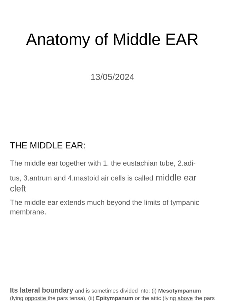 Middle Ear Anatomy and Structures | PDF | Ear | Primate Anatomy