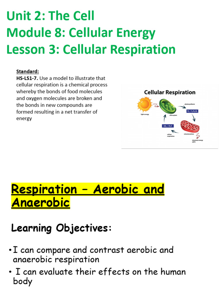Aerobic Anaerobic Respiration G.Classroom | PDF | Cellular Respiration ...