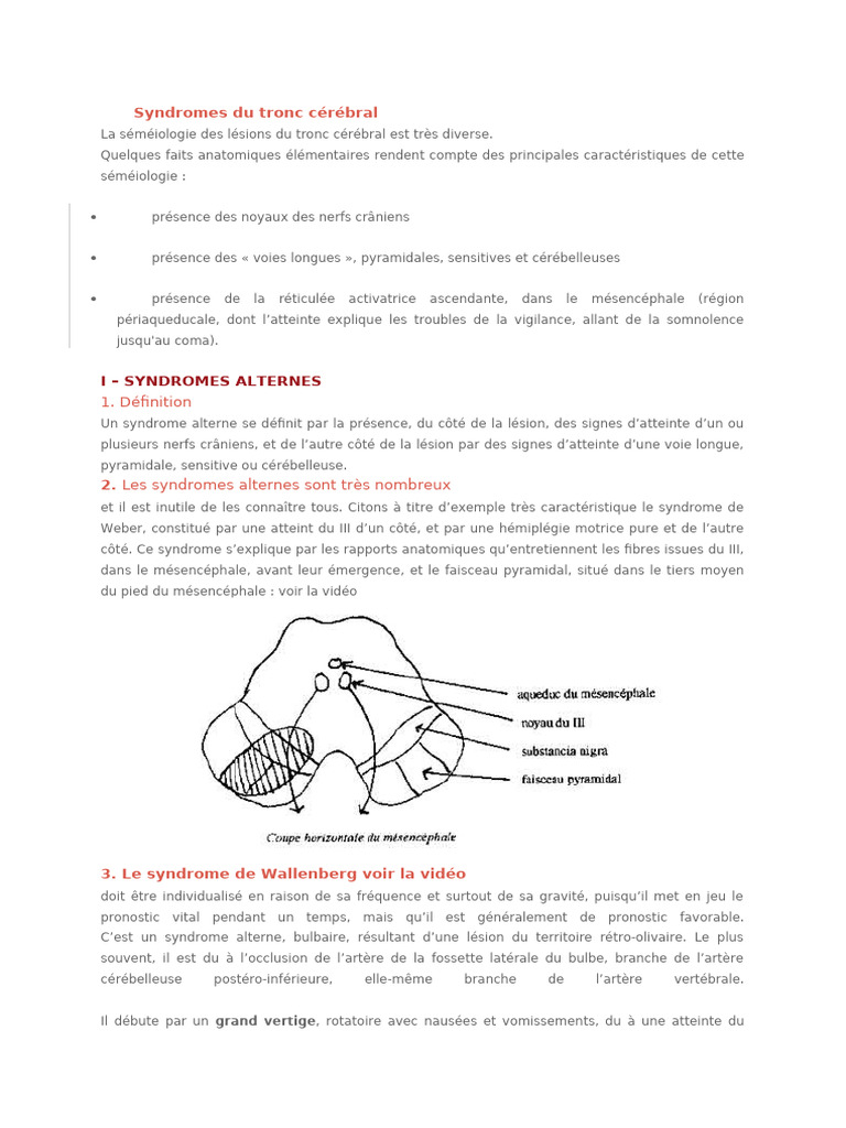 Syndromes alternes du tronc cérébral | PDF | Cervelet | vertige