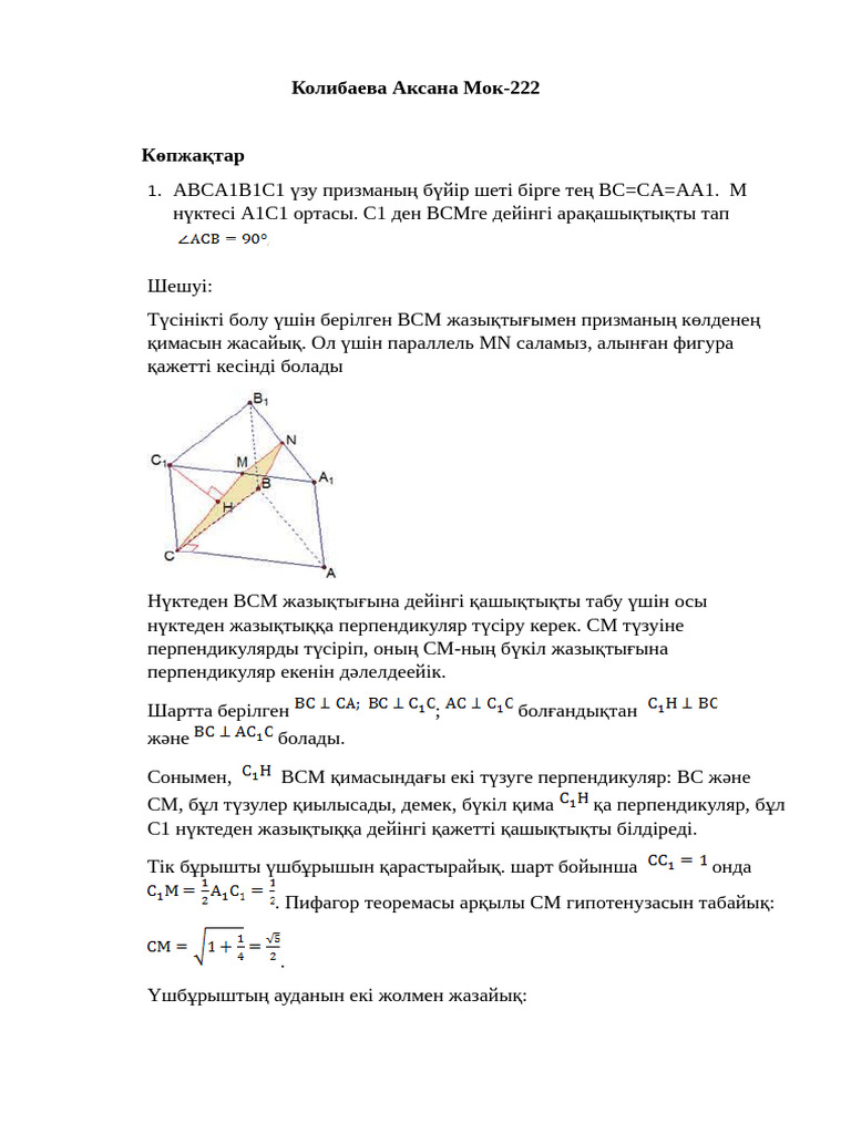 BV PDF