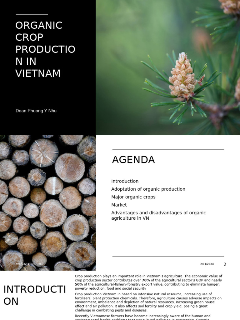 Organic Crop Production in Vietnam | PDF | Agriculture | Organic Farming