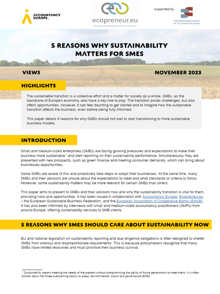 5 Reasons SMEs Must Embrace Sustainability | PDF | Small And Medium ...