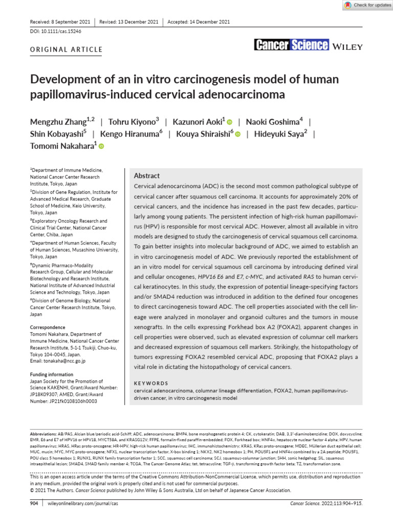 In Vitro Model for Cervical Adenocarcinoma | PDF | Carcinogenesis ...