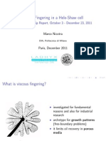 Radial Fingering in A Hele-Shaw Cell: Ladhyx Internship Report, October 3 - December 23, 2011