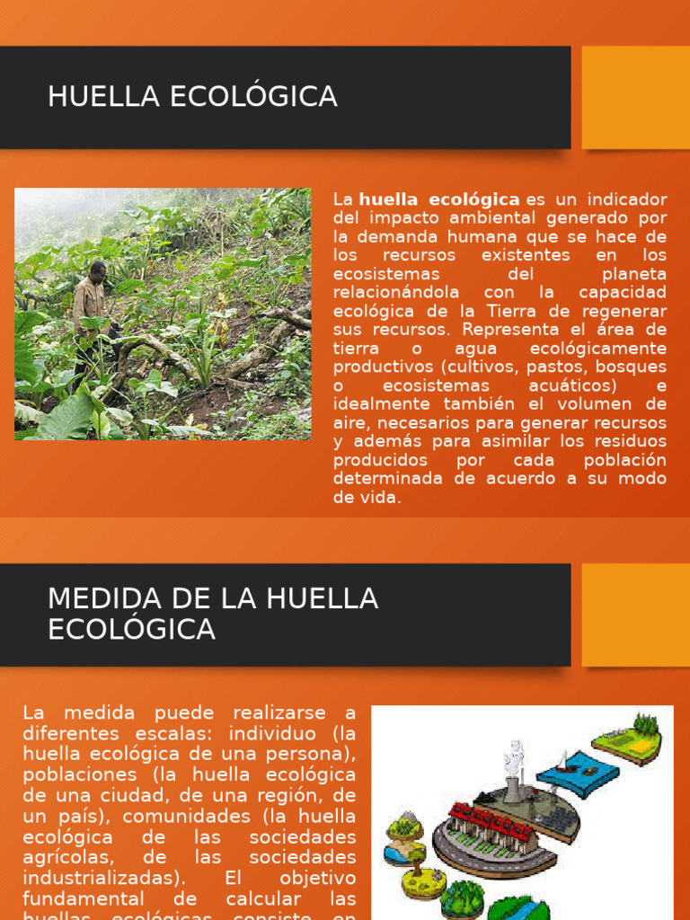 Huella Ecológica: Impacto y Cálculo | PDF | Ecología | Entorno natural