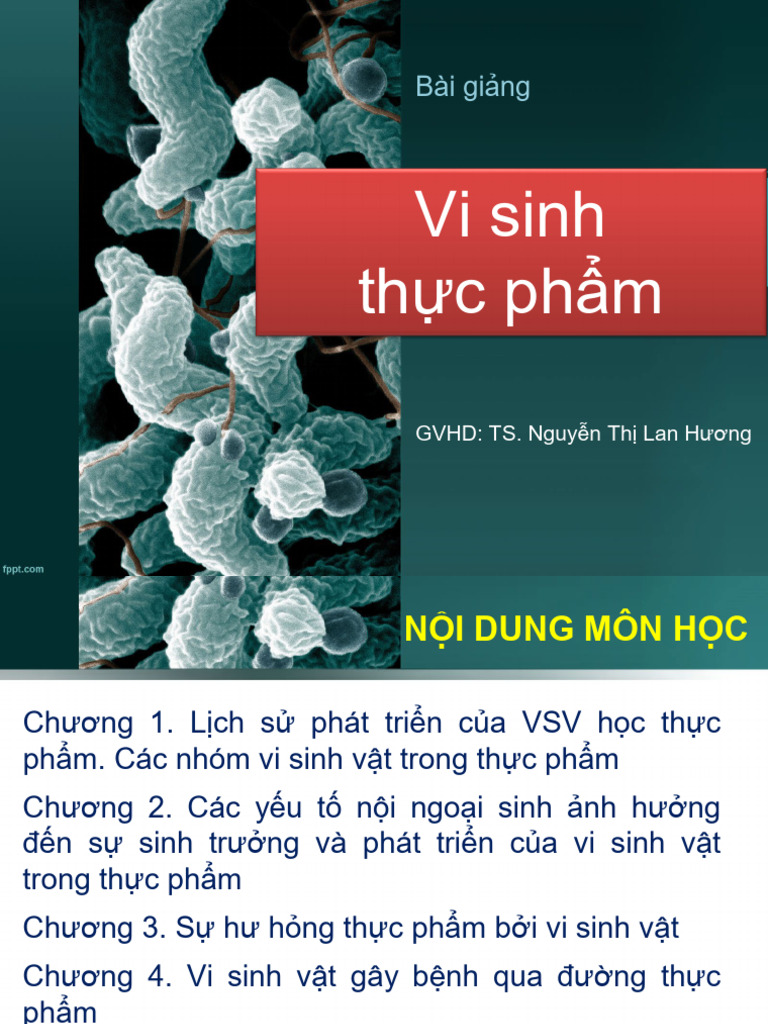 Chương 1 - Vi Sinh Vật Trong Thực Phẩm (Autosaved) | PDF