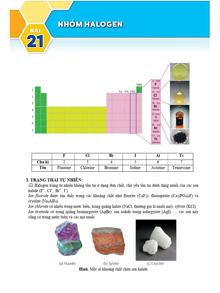 nhóm halogen-học sinh | PDF