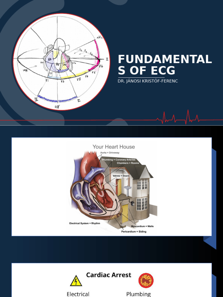 ECG Fundamentals and Interpretation | PDF | Electrocardiography | Heart