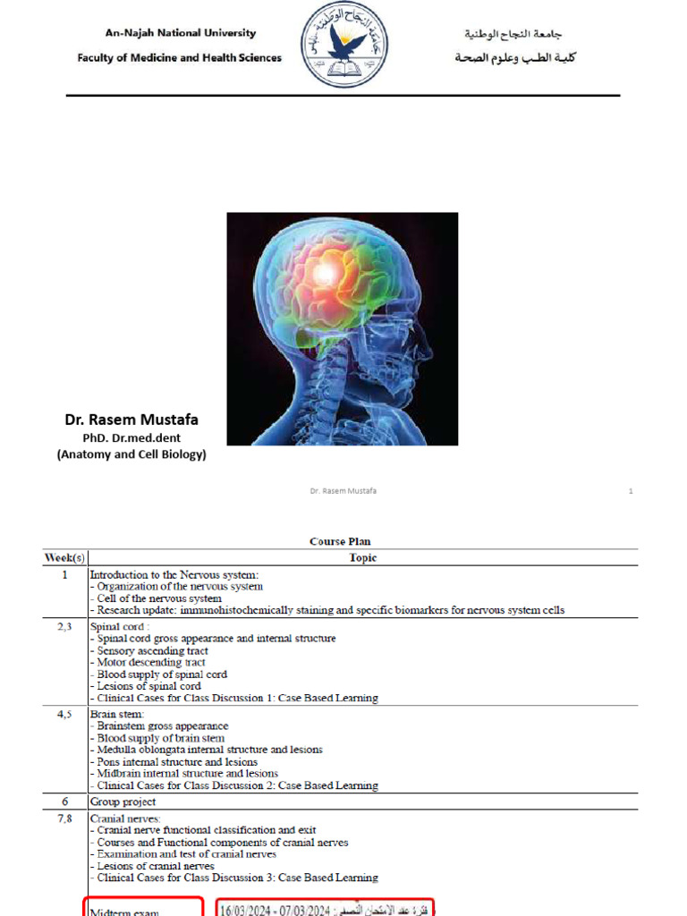 Introduction to Neuroanatomy Concepts | PDF | Central Nervous System ...