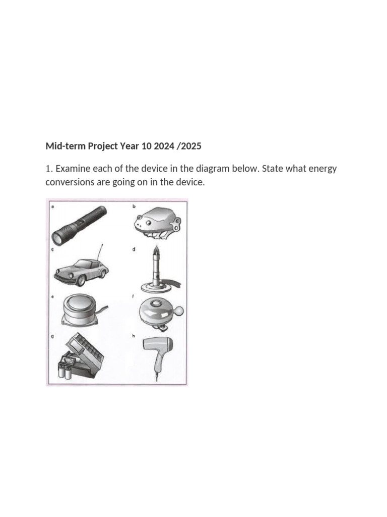 Mid-Term Project Year 10 2024 2025 | PDF