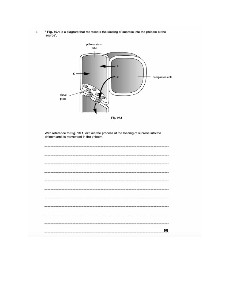 Biology Homework | PDF