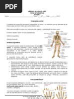 Ficha de Informativa Sistema Locomotor